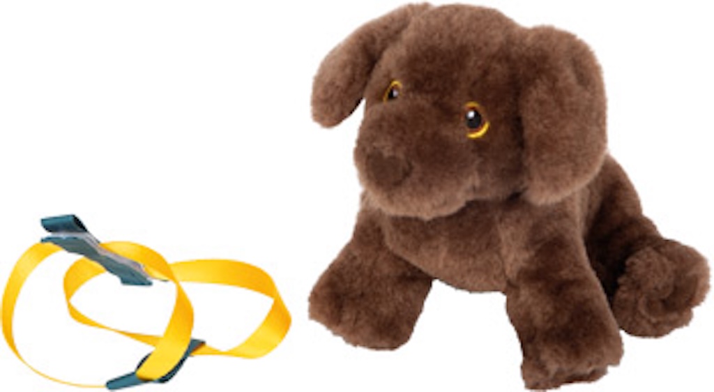 Hund mit Tasche und Pflege-Set Hund mit Tasche und Pflege-Set