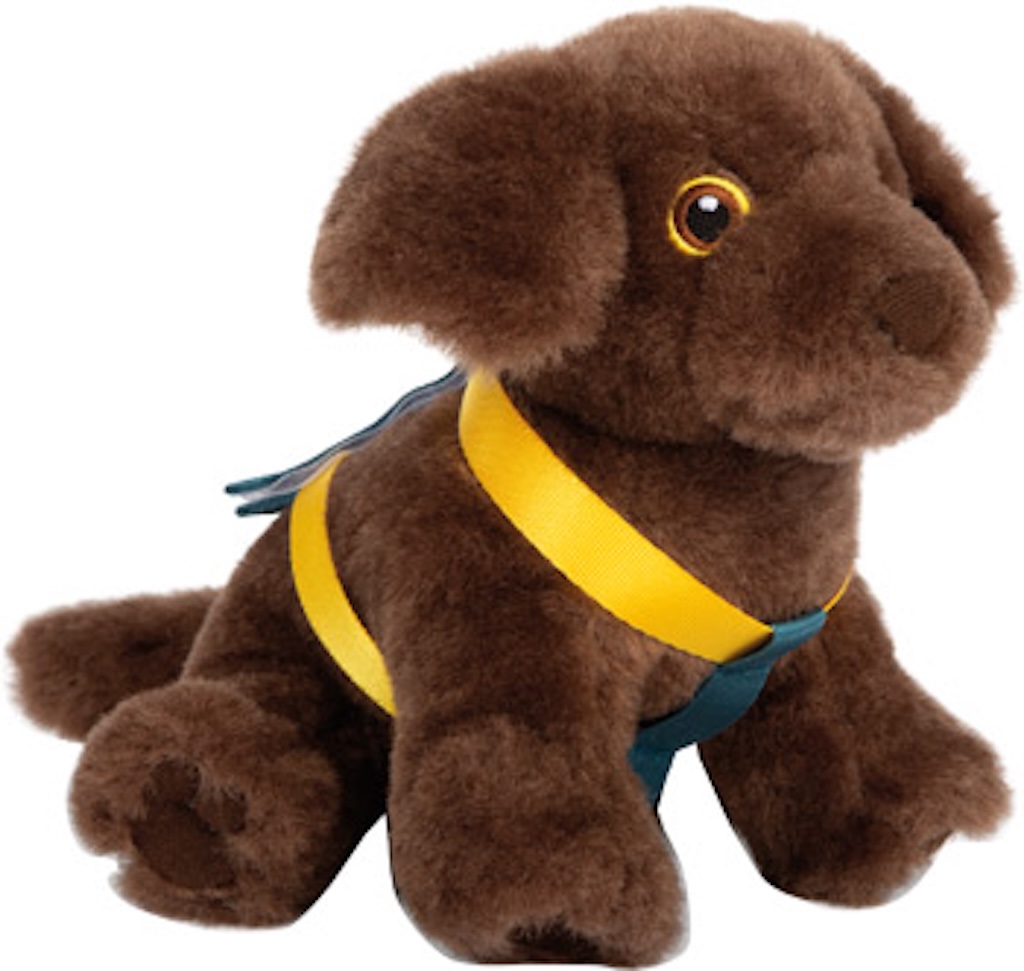 Hund mit Tasche und Pflege-Set Hund mit Tasche und Pflege-Set