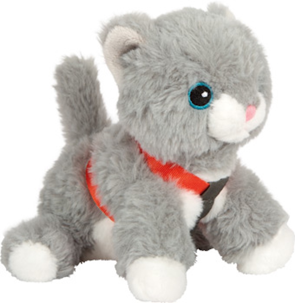 Katze mit Tasche und Pflege-Set Katze mit Tasche und Pflege-Set