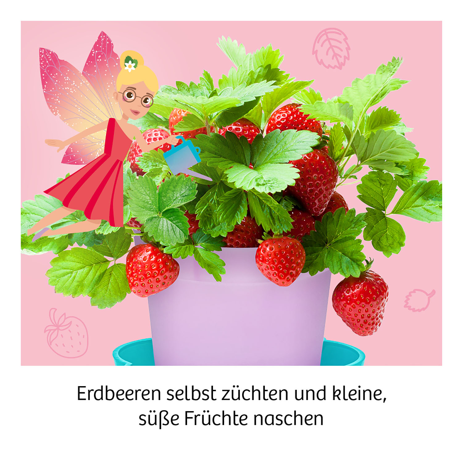 Feen-Erdbeeren