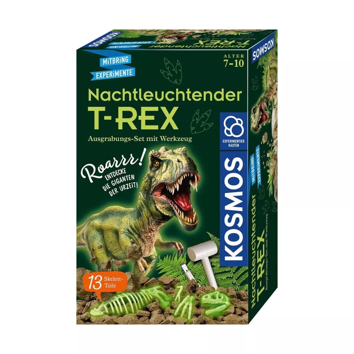 Ausgrabungen T-Rex Nachtleuchtend
